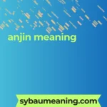 anjin meaning