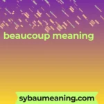beaucoup meaning