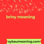 briny meaning