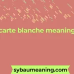 carte blanche meaning