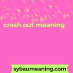 crash out meaning