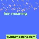 fein meaning