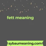 fett meaning