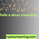 folie a deux meaning