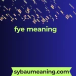 fye meaning