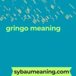 gringo meaning