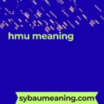 hmu meaning