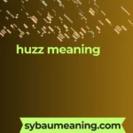 huzz meaning