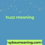 huzz meaning