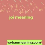 joi meaning