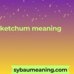 ketchum meaning