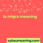 la migra meaning