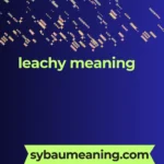 leachy meaning