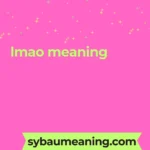 lmao meaning