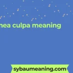 mea culpa meaning