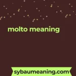 molto meaning