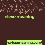 nieve meaning