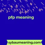 pfp meaning