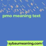 pmo meaning text
