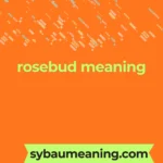 rosebud meaning