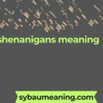 shenanigans meaning