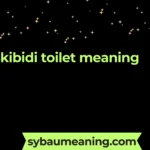 skibidi toilet meaning