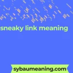 sneaky link meaning