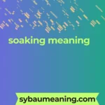 soaking meaning