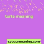 torta meaning