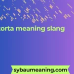 torta meaning slang