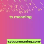 ts meaning