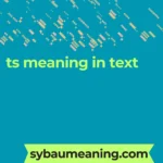 ts meaning in text