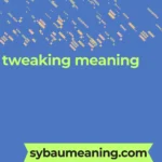 tweaking meaning