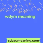 wdym meaning