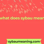 what does sybau mean