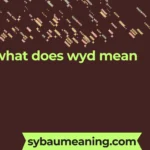 what does wyd mean