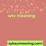 wtv meaning