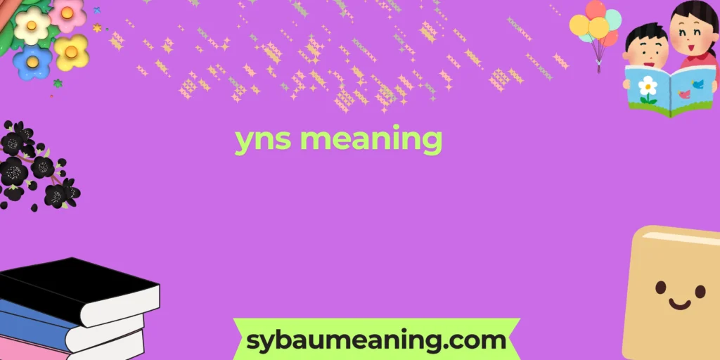 yns meaning