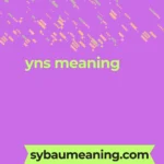 yns meaning