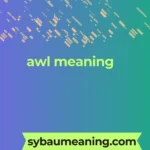 awl meaning