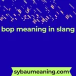 bop meaning in slang