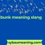 bunk meaning slang