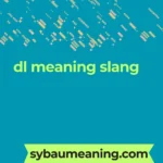 dl meaning slang