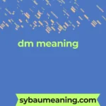 dm meaning
