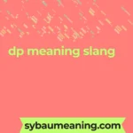 dp meaning slang