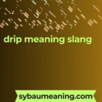 drip meaning slang