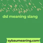 dsl meaning slang