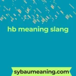 hb meaning slang