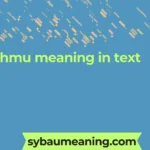 hmu meaning in text