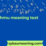hmu meaning text